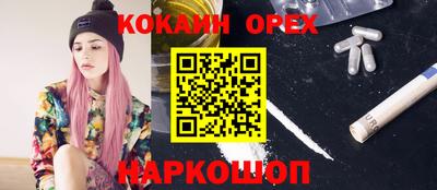 СК Краснознаменск