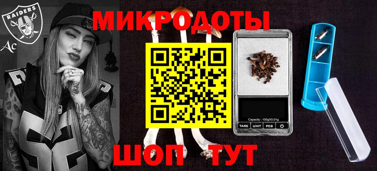 Галлюциногенные грибы Psilocybe Калуга