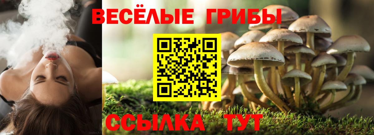 наркошоп  Вход с VPN  Калуга  Псилоцибиновые грибы MAGIC MUSHROOMS 